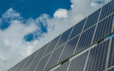How Local Clients Assess Value From Solar Wholesale Suppliers